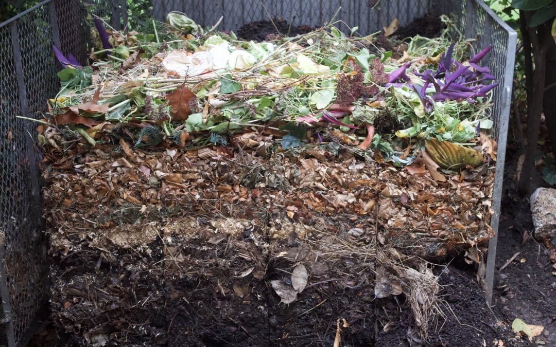 Composting at Home: A Beginner’s Guide